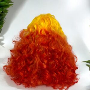 13x6 Ombre Multi-Color Lace Front Wig 24 inches