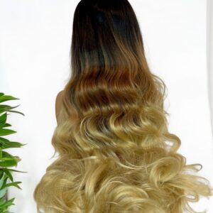 13*6 Ombre Multi-Color Wavy Wig28 Inches