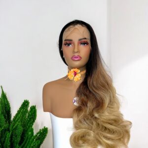 13*6 Ombre Multi-Color Wavy Wig28 Inches